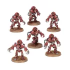 Ursarax Cohort