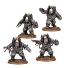 Charonite Ogryn Section