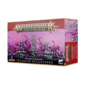 Tzaangor Enlightened/Skyfires