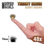 11506 Thorny Scrubs - BURNY BROWN