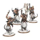 Mournfang Pack