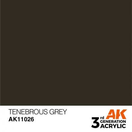 Paint - Tenebrous Grey 17ml
