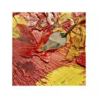 TALENS FESTŐKÉS - NO. 3023